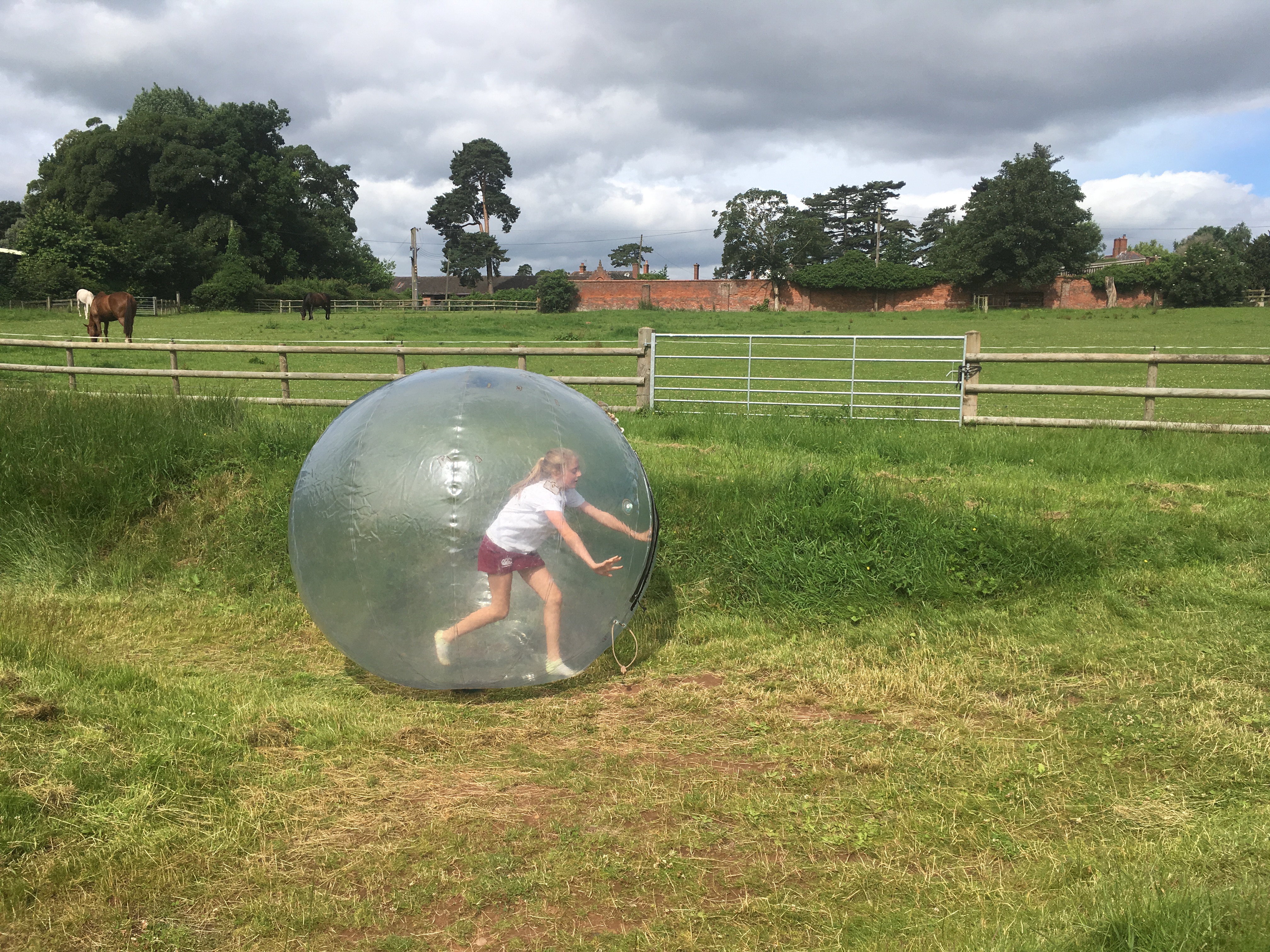 Year 8 Enterprise Day 2016: Zorbing